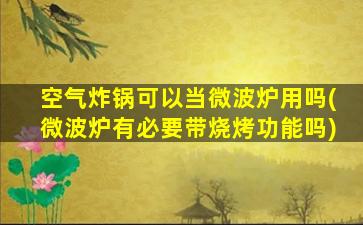 空气炸锅可以当微波炉用吗(微波炉有必要带烧烤功能吗)