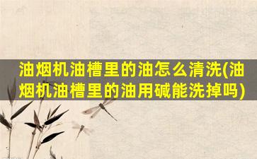 油烟机油槽里的油怎么清洗(油烟机油槽里的油用碱能洗掉吗)