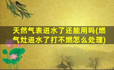 天然气表进水了还能用吗(燃气灶进水了打不燃怎么处理)