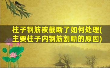 柱子钢筋被截断了如何处理(主要柱子内钢筋割断的原因)