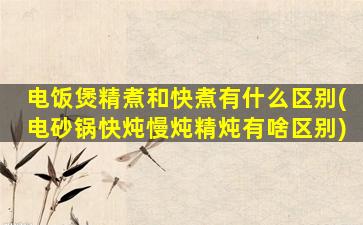 电饭煲精煮和快煮有什么区别(电砂锅快炖慢炖精炖有啥区别)
