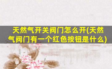 天然气开关阀门怎么开(天然气阀门有一个红色按钮是什么)
