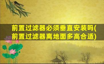 前置过滤器必须垂直安装吗(前置过滤器离地面多高合适)