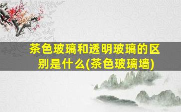 茶色玻璃和透明玻璃的区别是什么(茶色玻璃墙)