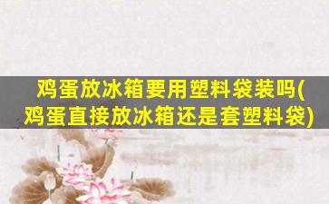 鸡蛋放冰箱要用塑料袋装吗(鸡蛋直接放冰箱还是套塑料袋)
