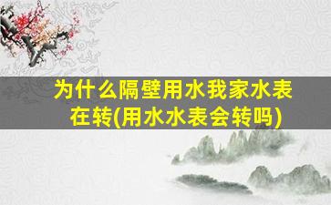 为什么隔壁用水我家水表在转(用水水表会转吗)