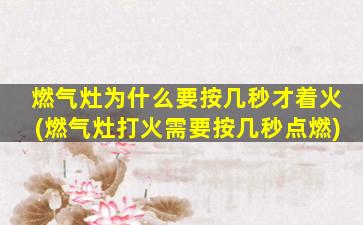 燃气灶为什么要按几秒才着火(燃气灶打火需要按几秒点燃)