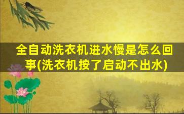 全自动洗衣机进水慢是怎么回事(洗衣机按了启动不出水)
