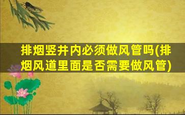 排烟竖井内必须做风管吗(排烟风道里面是否需要做风管)