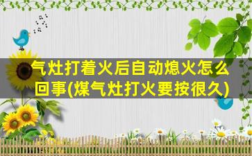 气灶打着火后自动熄火怎么回事(煤气灶打火要按很久)