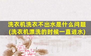 洗衣机洗衣不出水是什么问题(洗衣机漂洗的时候一直进水)