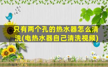 只有两个孔的热水器怎么清洗(电热水器自己清洗视频)