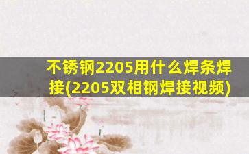 不锈钢2205用什么焊条焊接(2205双相钢焊接视频)