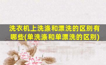 洗衣机上洗涤和漂洗的区别有哪些(单洗涤和单漂洗的区别)