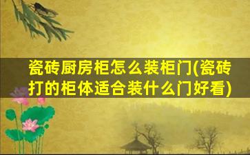 瓷砖厨房柜怎么装柜门(瓷砖打的柜体适合装什么门好看)