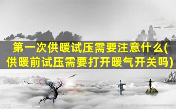 第一次供暖试压需要注意什么(供暖前试压需要打开暖气开关吗)