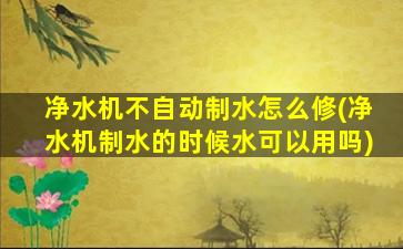 净水机不自动制水怎么修(净水机制水的时候水可以用吗)