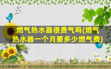 燃气热水器很费气吗(燃气热水器一个月要多少燃气费)