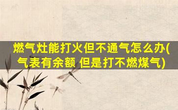 燃气灶能打火但不通气怎么办(气表有余额 但是打不燃煤气)