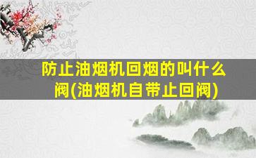防止油烟机回烟的叫什么阀(油烟机自带止回阀)