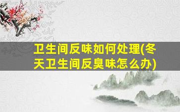卫生间反味如何处理(冬天卫生间反臭味怎么办)