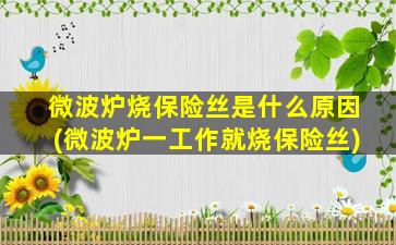 微波炉烧保险丝是什么原因(微波炉一工作就烧保险丝)