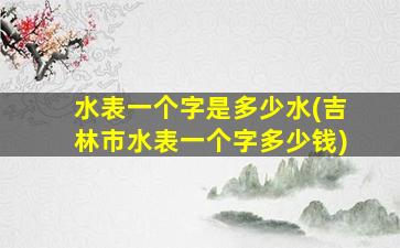 水表一个字是多少水(吉林市水表一个字多少钱)