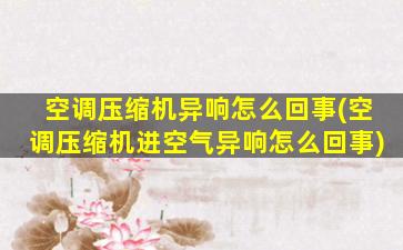 空调压缩机异响怎么回事(空调压缩机进空气异响怎么回事)