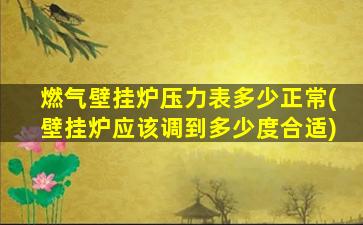 燃气壁挂炉压力表多少正常(壁挂炉应该调到多少度合适)