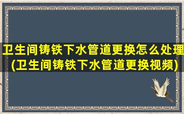 卫生间铸铁下水管道更换怎么处理(卫生间铸铁下水管道更换视频)