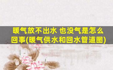 暖气放不出水 也没气是怎么回事(暖气供水和回水管道图)