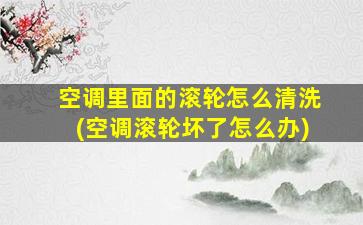 空调里面的滚轮怎么清洗(空调滚轮坏了怎么办)