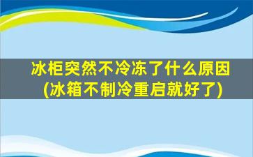 冰柜突然不冷冻了什么原因(冰箱不制冷重启就好了)