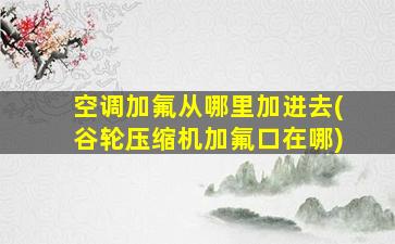 空调加氟从哪里加进去(谷轮压缩机加氟口在哪)