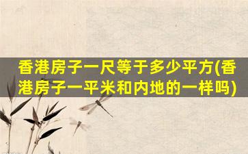 香港房子一尺等于多少平方(香港房子一平米和内地的一样吗)