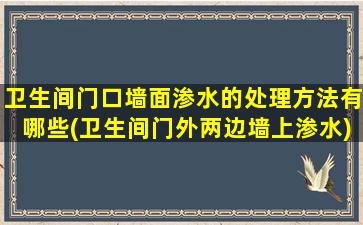 卫生间门口墙面渗水的处理方法有哪些(卫生间门外两边墙上渗水)