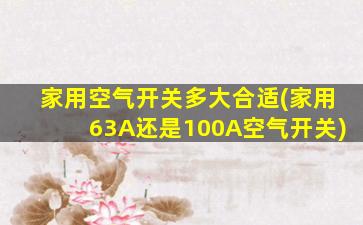 家用空气开关多大合适(家用63A还是100A空气开关)