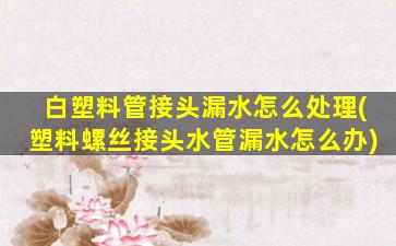 白塑料管接头漏水怎么处理(塑料螺丝接头水管漏水怎么办)