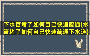 下水管堵了如何自己快速疏通(水管堵了如何自己快速疏通下水道)