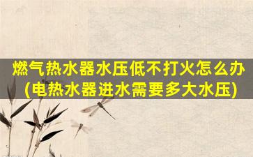 燃气热水器水压低不打火怎么办(电热水器进水需要多大水压)