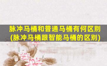 脉冲马桶和普通马桶有何区别(脉冲马桶跟智能马桶的区别)