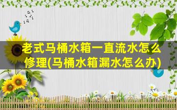 老式马桶水箱一直流水怎么修理(马桶水箱漏水怎么办)