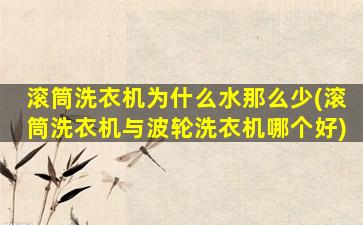 滚筒洗衣机为什么水那么少(滚筒洗衣机与波轮洗衣机哪个好)