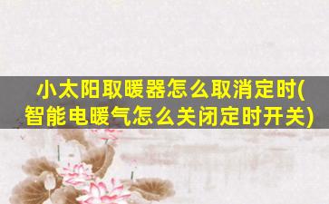 小太阳取暖器怎么取消定时(智能电暖气怎么关闭定时开关)