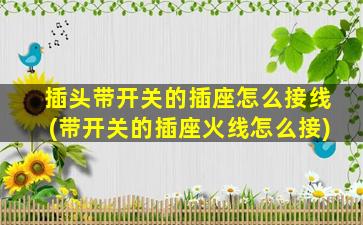 插头带开关的插座怎么接线(带开关的插座火线怎么接)