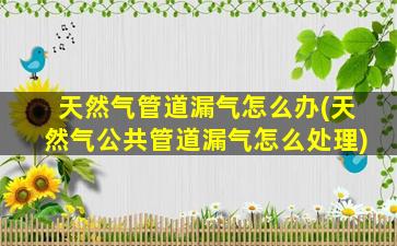 天然气管道漏气怎么办(天然气公共管道漏气怎么处理)