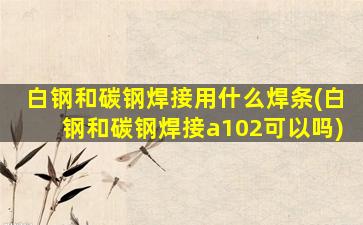白钢和碳钢焊接用什么焊条(白钢和碳钢焊接a102可以吗)