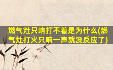 燃气灶只响打不着是为什么(燃气灶打火只响一声就没反应了)
