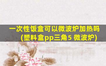 一次性饭盒可以微波炉加热吗(塑料盒pp三角5 微波炉)