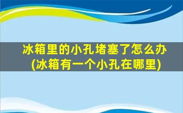 冰箱里的小孔堵塞了怎么办(冰箱有一个小孔在哪里)